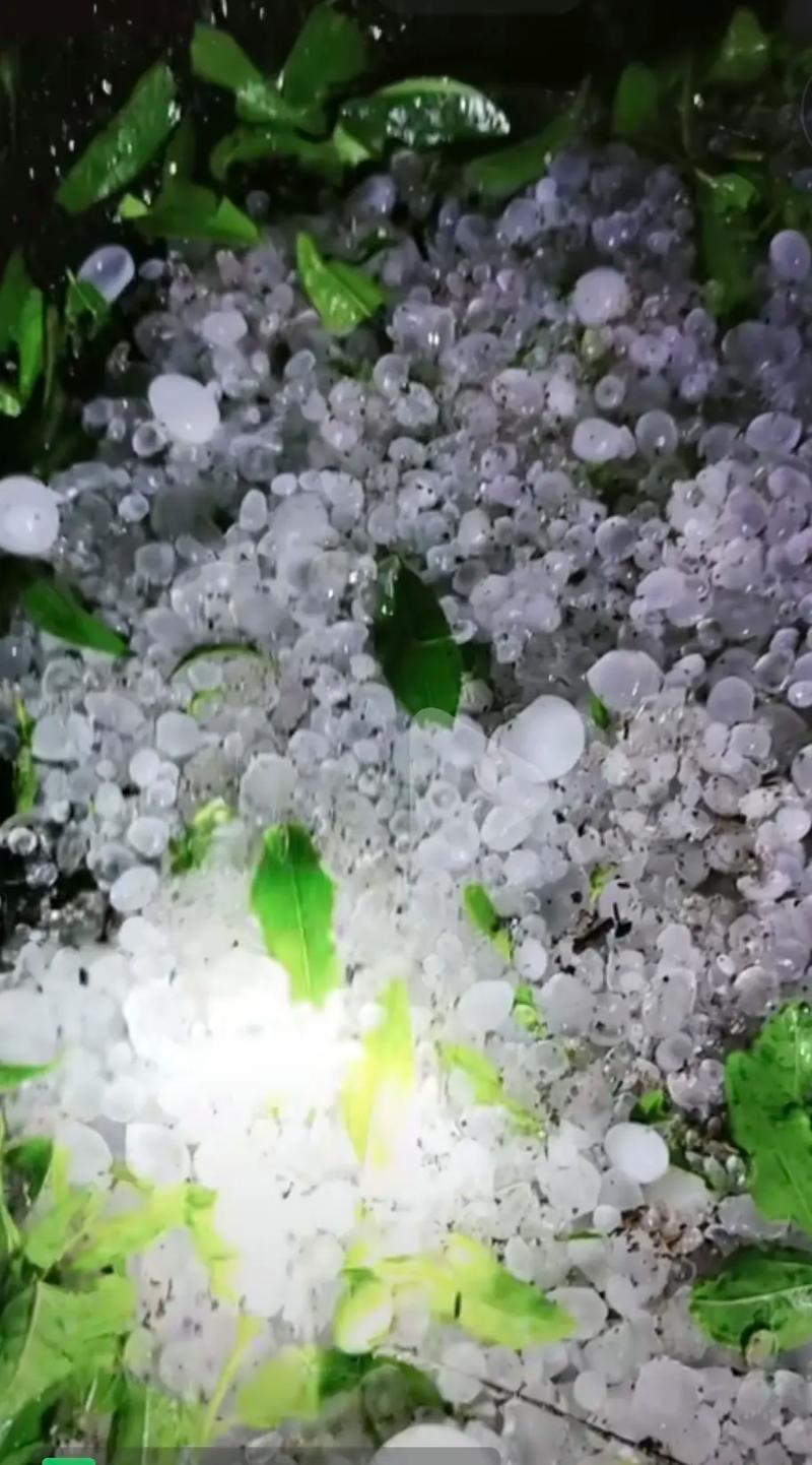 11级大风!罕见冰雹突袭贵州,当地应急能力如何?