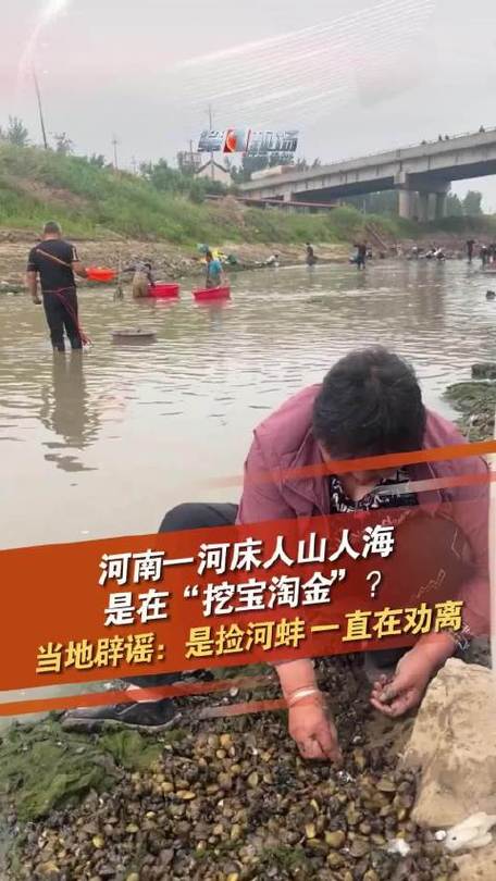 卫河“淘金热”事件真相大揭秘:村民集体摸金挖宝?